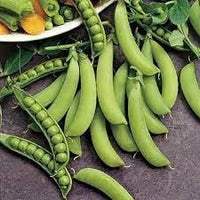 Snap Pea Vegetable Seeds for Planting - 100 pcs