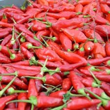 Guam Boonies Pepper Vegetable Seeds for Planting - 100 pcs