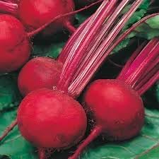 Beetroot Fruit Seeds for Growing Nutrient-Rich and Earthy Beetroots 100 pcs