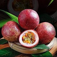 Passion Fruit Seeds for Planting - Growing Exotic, Sweet Fruits at Home Garden, GMO Free