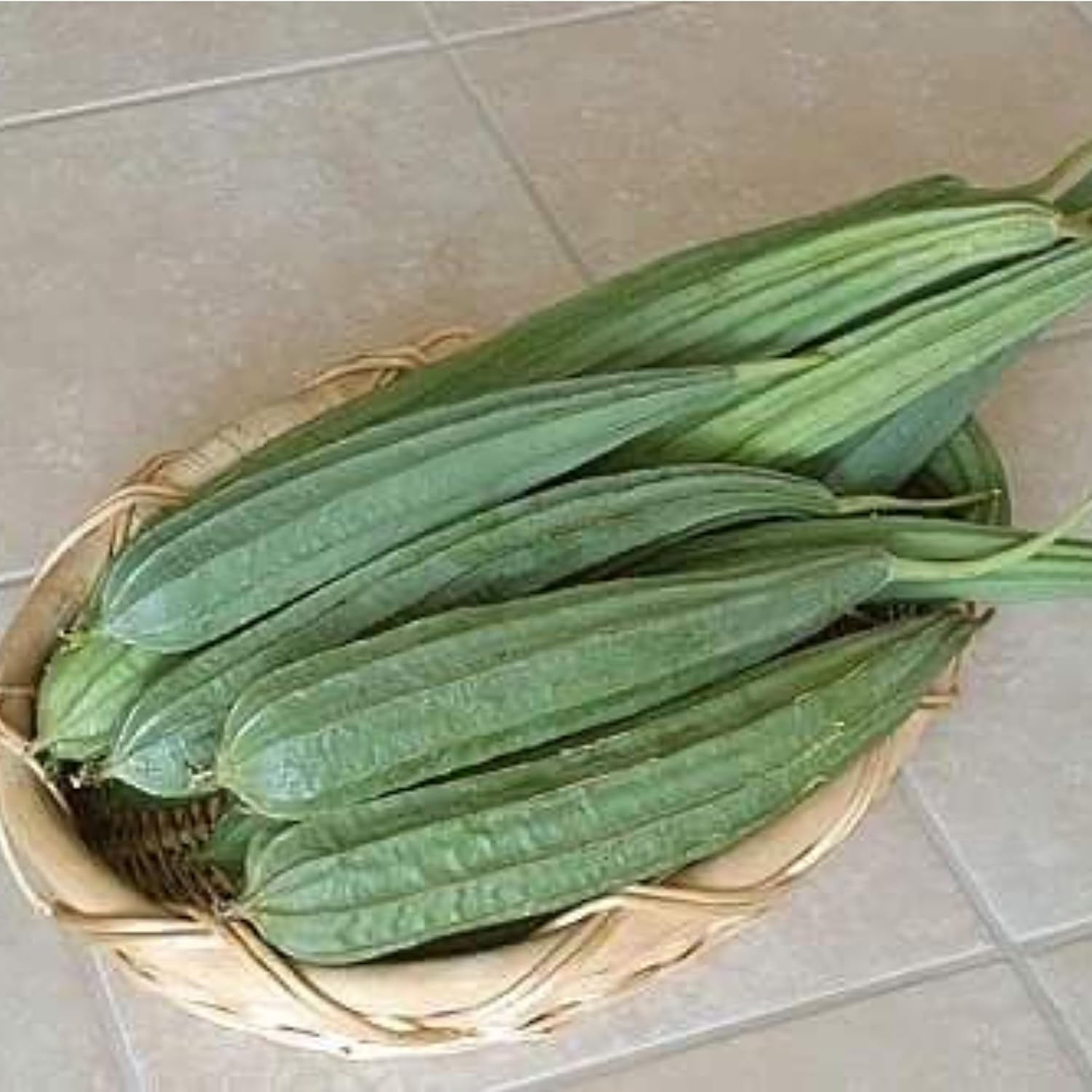 Ridge Gourd Luffa acutangula seeds for garden planting