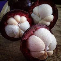Mangosteen Fruit Seeds for Planting - Growing Sweet & Exotic Tropical Fruits, GMO Free