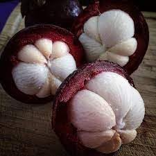 Mangosteen Garcinia mangostana seeds for tropical orchard