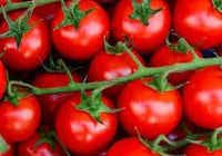 Dark Pink Tomato Seeds for Planting - 100 pcs
