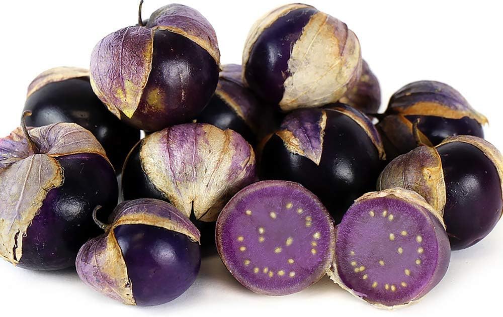 Organic Purple Tomatillo Seeds for Planting heirloom & Non-GMO Seeds
