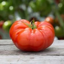 Mexican Silly Tomato Vegetable Seeds for Planting - 100 pcs