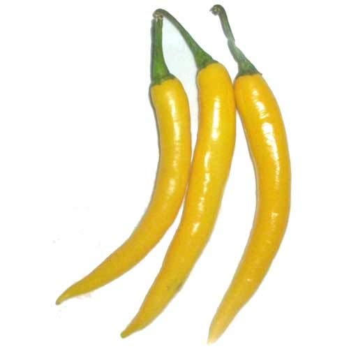 Yellow hot pepper Seeds line of organic vegetable Seeds