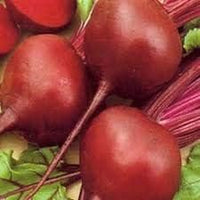 Red Beetroot Seeds for Planting - 100 pcs