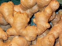 Ginger Vegetable Seeds for Planting - 100 pcs