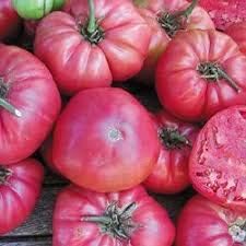 Tomato Seeds for Planting Dark Pink - 100 pcs