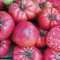 Tomato Seeds for Planting Dark Pink - 100 pcs