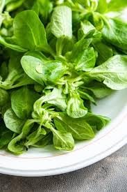 Lamb Lettuce Vegetable Seeds for Planting - 100 pcs