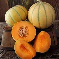 Melon Fruit Seeds for Growing Sweet and Refreshing Homegrown Melons 100 pcs