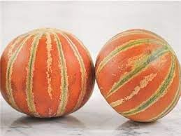 Kajari Melon Fruit Seeds for Growing a Sweet and Unique Melon Variety 100 pcs