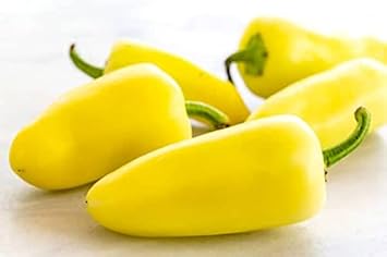 Yellow Hot Pepper Capsicum annuum seeds for garden planting