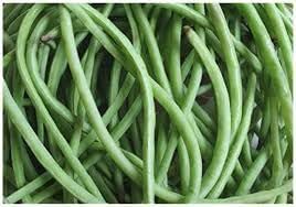 Bean Vegetable Seeds for Planting, 100 pcs
