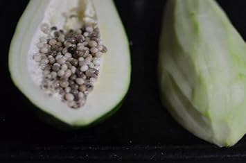 White Papaya Fruit Seeds for Planting - Growing Tropical Trees, Heirloom & Non-GMO Seeds