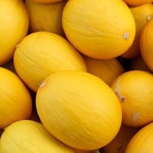 HAMI Melon Cucumis melo yellow variety seeds for planting in home garden