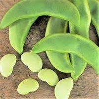 Bean Vegetable Seeds for Planting, 100 pcs