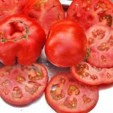 Girl Tomato Seeds for Planting - 100 pcs