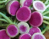 Radish Starburst Fruit Seed Pack for Vibrant, Tasty Radishes 100 pcs