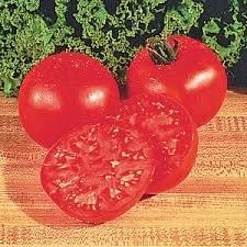 Big Boy Tomato Solanum lycopersicum seeds for garden planting