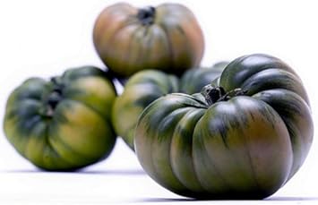 Dark green tomato Solanum lycopersicum seeds for planting in vegetable patch