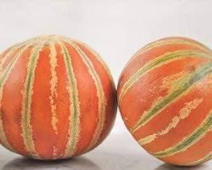 Red and Green HAMI Melon Fruit Seeds for planting - heirloom and Non-GMO garden seeds