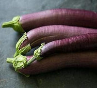 Purple Eggplant Vegetable Seeds for Planting - 100 pcs