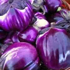 Violet Eggplant Solanum melongena for planting in urban garden