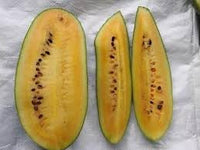 Star Fruit Averrhoa carambola seeds for planting in home garden