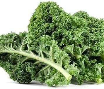 Siberian Kale Seeds for Planting - 100 pcs