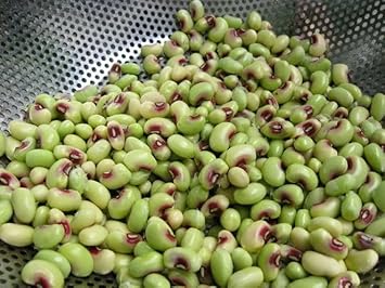 Cowpea Seeds for Planting - 100 pcs