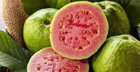 Guave Fruit Seeds - Tropical Sweetness for Your Garden 100 pcs