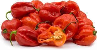 Scotch Bonnet Pepper Seeds for Gardening, 100 pcs