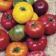 Big Tomato Seeds for Planting Mixed - 100 pcs