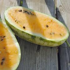 Coprosma Propingua Seeds for Ornamental and Edible Fruits 100 pcs