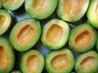 Organic Rocky Ford Green Flesh Melon Seeds - Heirloom, Open Pollinated, Non-GMO Seeds