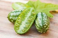 Cucamelon Melothria scabra seeds for garden planting