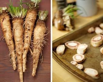Salsify Vegetable Seeds for Planting heirloom & Non-GMO Seeds