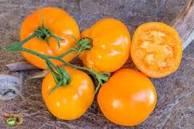 Moonglow Heirloom Tomato Seeds for Planting - 100 pcs