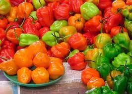 Sweet Pepper Vegetable Seeds for Planting - 100 pcs