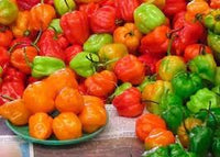 Sweet Pepper Mix Capsicum annuum seeds for planting