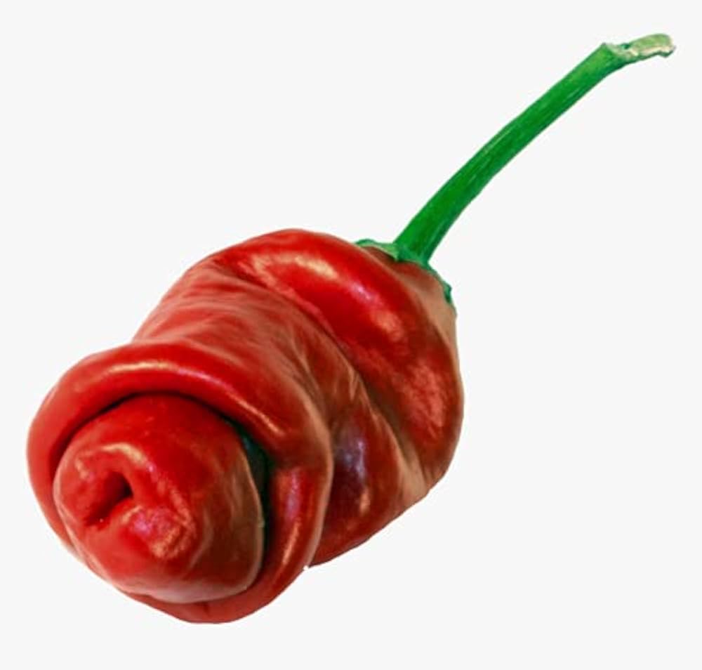 Peter Pepper Red Hot Chili Seeds for Indoor and Outdoor Garden Planting