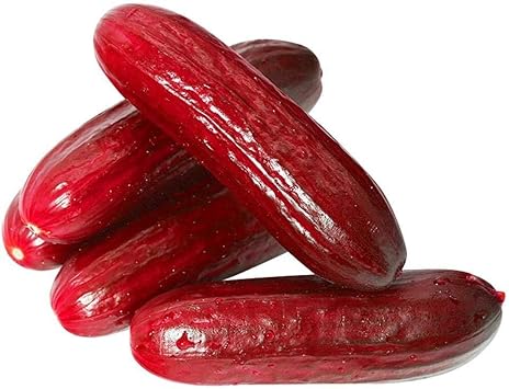 Red Cucumber Cucumis sativus seeds for garden planting