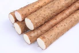 Yam Vegetable Seeds for Planting heirloom & Non-GMO Seeds