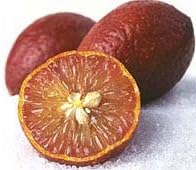 Brown Lemon Fruit Seeds for Planting - Grow Your Own Sweet & Juicy Lemons