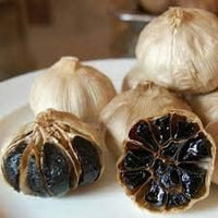 Black Garlic Allium sativum for planting in urban garden