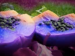 Heidelbeeren Fruit Seeds - Grow Blueberries for a Delicious and Healthy Harvest 100 pcs