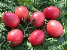 Tomato Seeds for Planting, Pink, 100 pcs